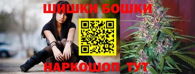 СК Шебекино