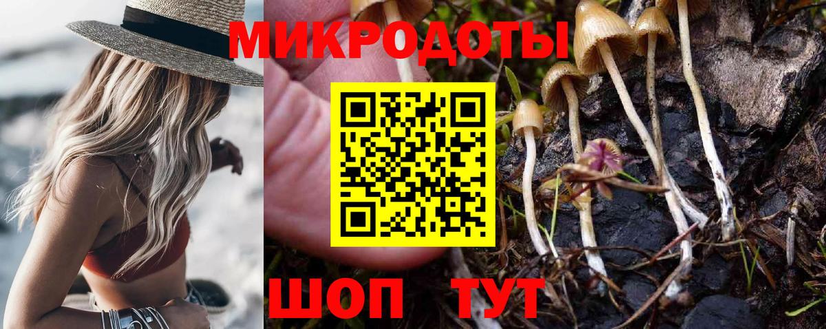 Псилоцибиновые грибы Magic Shrooms Михайловск