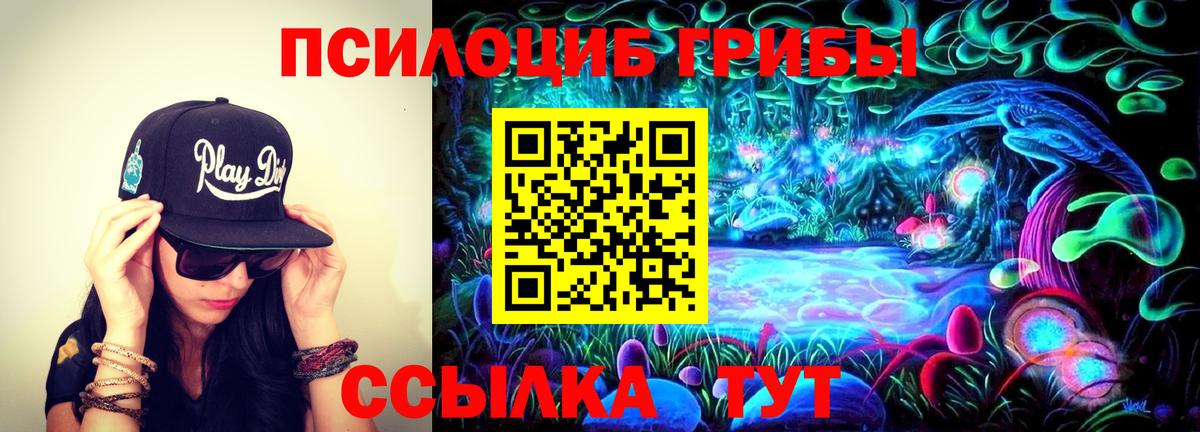 Псилоцибиновые грибы Psilocybine cubensis  Галлюциногенные грибы ЛСД  Вход с VPN  Михайловск 