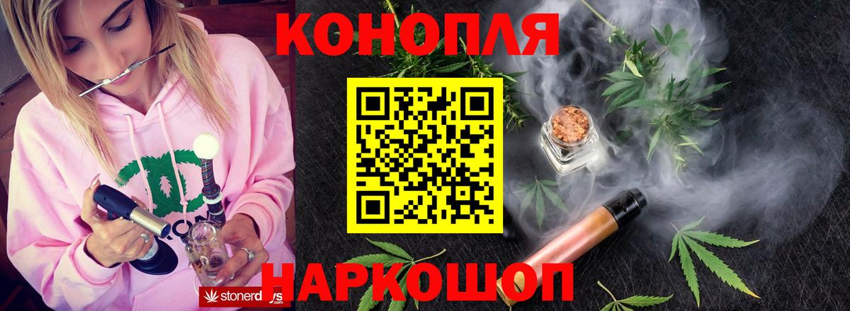 Марихуана сатива Михайловск